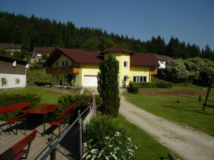 Foto: zum Tiermuseum