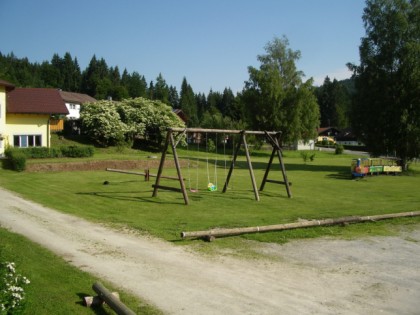 Foto: zum Tiermuseum